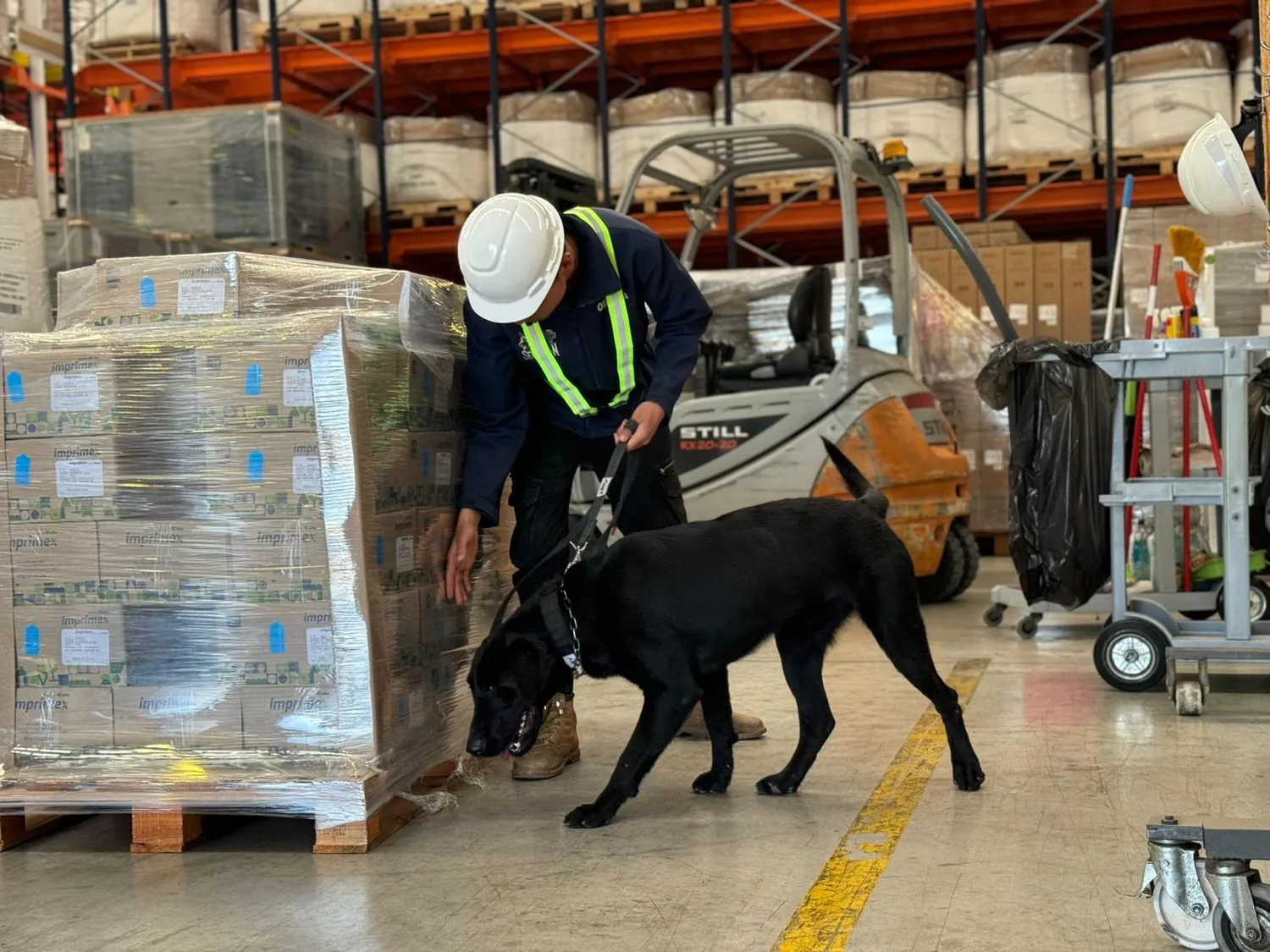 Equipo SERVICAN durante trabajo canino profesional